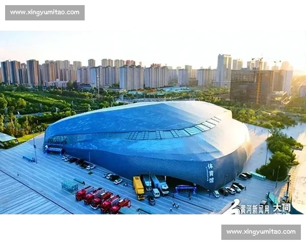 聚焦国际游泳赛事新格局见证竞技水平全面提升与体育精神发展趋势